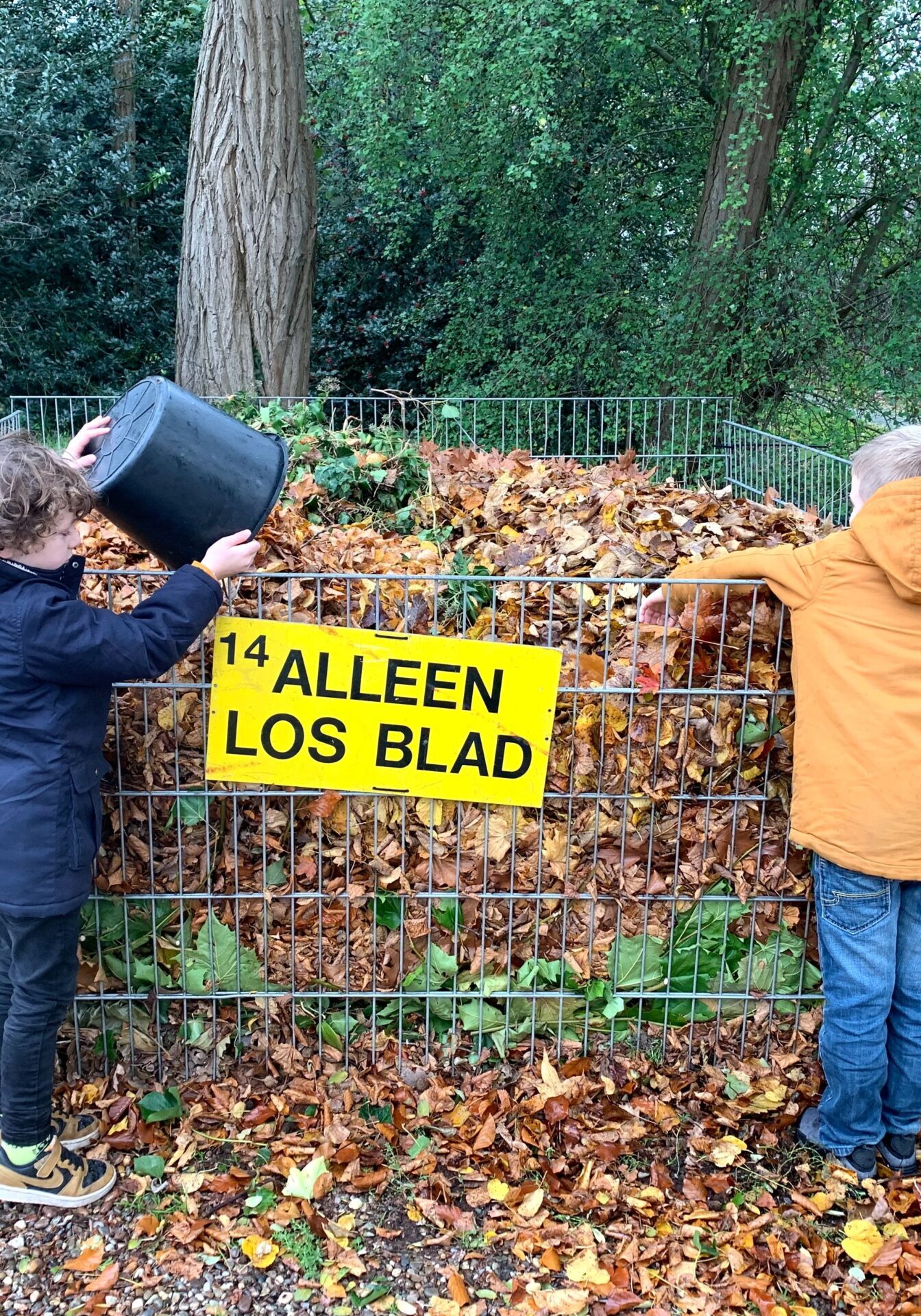 2025 Bladkorven 2025 Bladkorven