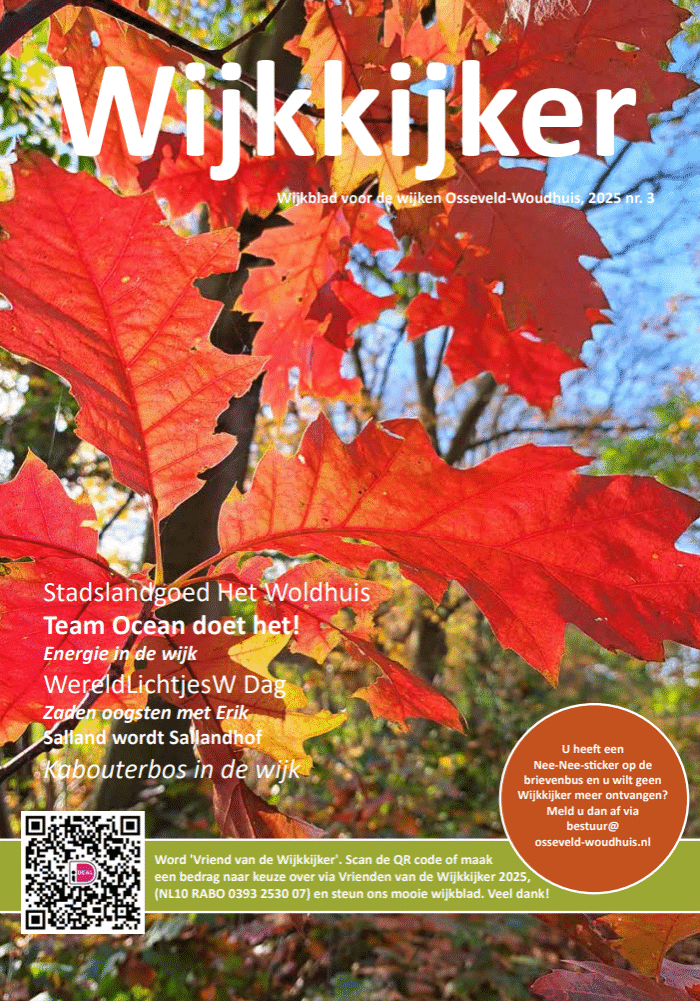 Schermafbeelding 2025-11-13 132622